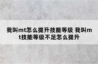 我叫mt怎么提升技能等级 我叫mt技能等级不足怎么提升